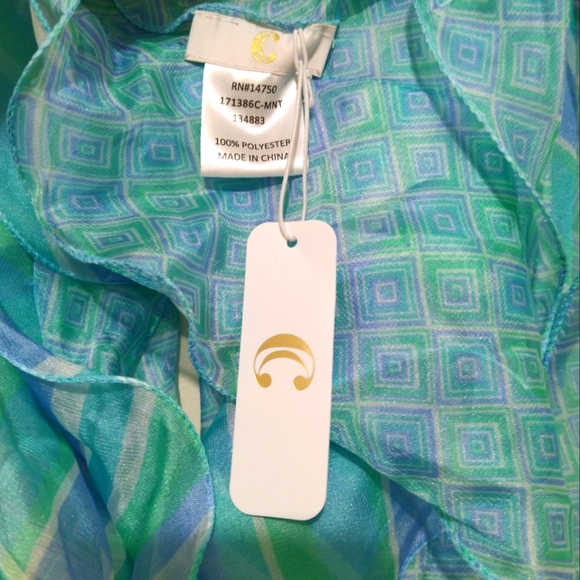 Charming Charlie Seafoam Scarf - Picture 5 of 5